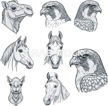 Vector line icon for the head of a camel, horse, and Arabian falcon, animals and Arabian livestock, icons and ready-made templates, vector illustrator, white background.