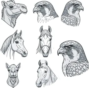 Vector line icon for the head of a camel, horse, and Arabian falcon, animals and Arabian livestock, icons and ready-made templates, vector illustrator, white background.