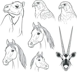 فيكتور خطي لايقونة لرأس الجمل والحصان والصقر العربي, الحيوانات و الدواب العربية, ايقونات و قوالب جاهزة, فيكتور اليستريتور، خلفية بيضاء