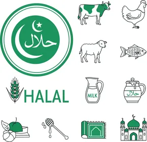 رموز وأيقونات متنوعة، نماذج شعارات باللغة العربية والانجليزية، شعار حلال باللون الأخضر، ملصقات طعام الحلال التقليدية الاسلامية، البقر والضأن والسمك والدجاج والحليب، خلفية بيضاء، فيكتور اليستريتور