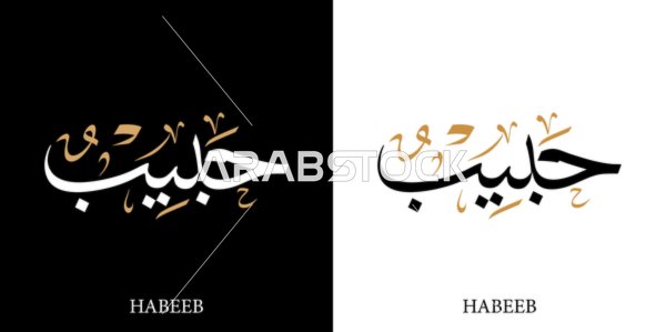 Habib, an Arabic name for males, a calligraphic representation of the name in black and white in Arabic and English, Arabic calligraphy art, black and white background, vector illustration.
