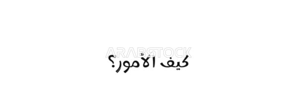 A simple Arabic question about the state of affairs, a friendly inquiry, vector manuscript text "How are things" in black, authentic Arabic calligraphy arts, white background, vector illustrator.