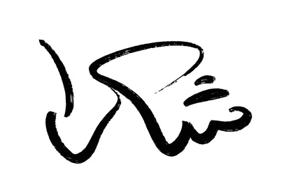 A manuscript of "Thank You" in black, phrases and texts in Arabic and English, authentic Arabic calligraphy arts, expression of gratitude, white background, vector illustration.