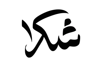 عبارات ونصوص باللغة العربية، مخطوطة شكرا باللون الأسود، فنون الخط العربي الأصيل، التعبير عن الامتنان، خلفية بيضاء، فيكتور اليتسريتور