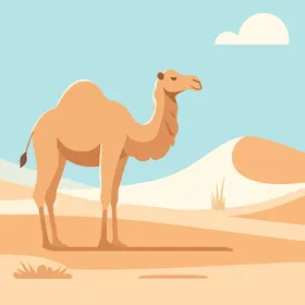 وسائل النقل القديمة في المملكة العربية السعودية, رسم توضيحي لسفينة الصحراء, مفهوم الاهتمام والعناية بالثدييات وحيوان الجمل، فيكتور اليستريتور