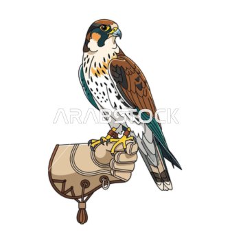 Pride in the rich Saudi heritage, the taming and training of predatory and hunting birds, a symbol of strength and challenge and sharp vision, a falcon perched on a leather glove, white background, vector illustrator.