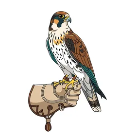 Pride in the rich Saudi heritage, the taming and training of predatory and hunting birds, a symbol of strength and challenge and sharp vision, a falcon perched on a leather glove, white background, vector illustrator.