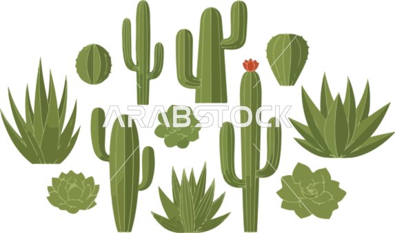 Vector illustration, a vibrant collection of diverse desert plants, different types of cacti and succulents in a flat design, vector illustrator.
