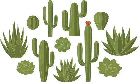 Vector illustration, a vibrant collection of diverse desert plants, different types of cacti and succulents in a flat design, vector illustrator.