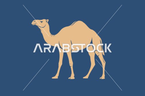 The concept of caring for and looking after mammals and the camel, illustrations of a camel in the desert, ancient means of transportation in the Kingdom of Saudi Arabia, blue background, vector illustrator.