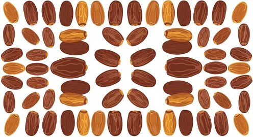 رسم توضيحي لنمط تمور متماثل بخلفية بيضاء سادة