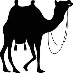 Camel Silhouette Black Vector Graphic on White Background