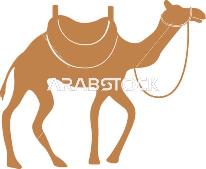 Dromedary Camel Vector Illustration with Traditional Saddle