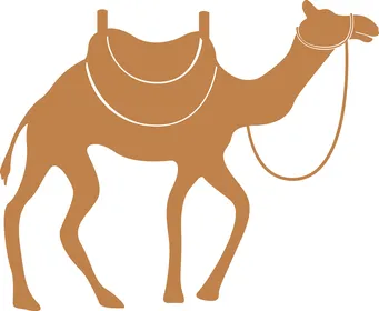 Dromedary Camel Vector Illustration with Traditional Saddle