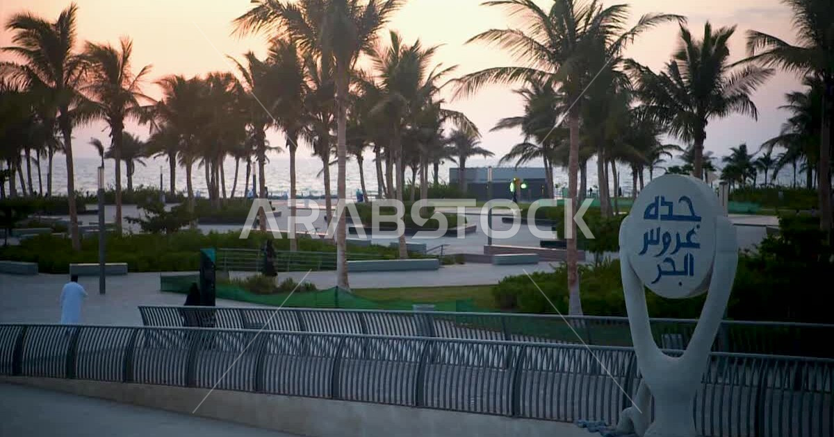 Interest in planting palm trees and green plants, Jeddah the Mermaid