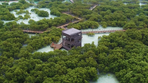 Aerial view of Jubail Mangrove Park, Abu Dhabi, United Arab Emirates.