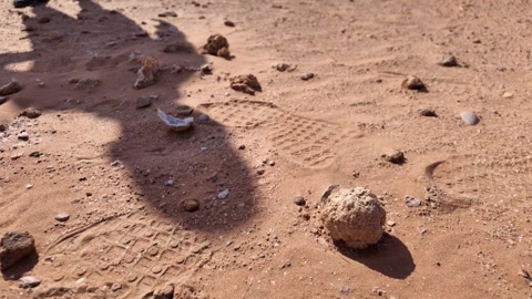 Geodes in Empty quarter desert Oman