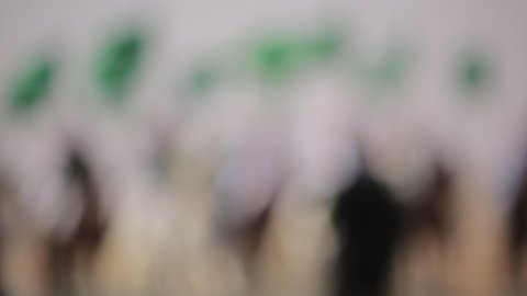 Raising the flags of the Kingdom of Saudi Arabia, the banner of monotheism and Islam and the slogan of national identity, Saudi citizens celebrating on the road, the concept of love of the homeland and belonging to it, loyalty and allegiance to the country, celebrating national occasions and holidays, the anniversary of the National Day on September 23, Flag Day on March 11