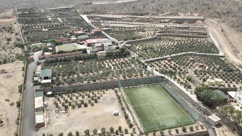 مزارع أشجار النخيل في مدينة الباحة في النهار، موسم حصاد التمور، تصوير درون جوي للأشجار والمحاصيل الزراعية المحلية، أراضي ومحميات طبيعية لزراعة النخل والرطب في المملكة العربية السعودية