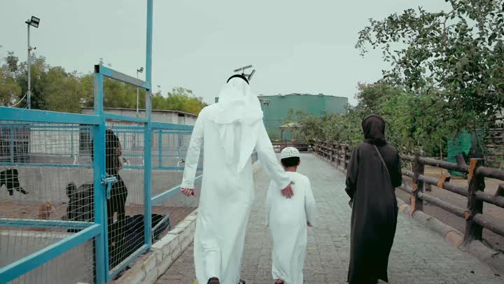 جوله ترفيهيه وممتعه وسط الاقفاص المفتوحة، قضاء وقت ممتع و مشاهده الحيوانات، زياره عائلية لحديقة الحيوانات، تصوير من الخلف لزوجان عربيان خليجان اماراتيان يرتديان الزي التقليدي يقومان بنزهه عائلية خارجيه برفقه طفلهما