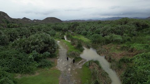 الاشجار والنباتات الخضراء في وادي الفطيحة بجازان، المزروعات والمدرجات الزراعية على  القمم والمرتفعات، المساحات الزراعية الواسعة في المملكة العربية السعودية، معالم جازان الطبيعية