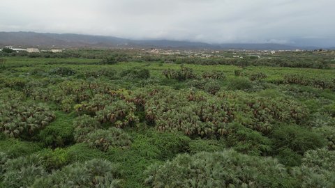 الاشجار والنباتات الخضراء في وادي الفطيحة بجازان، المزروعات والمدرجات الزراعية على  القمم والمرتفعات، المساحات الزراعية الواسعة في المملكة العربية السعودية، معالم جازان الطبيعية