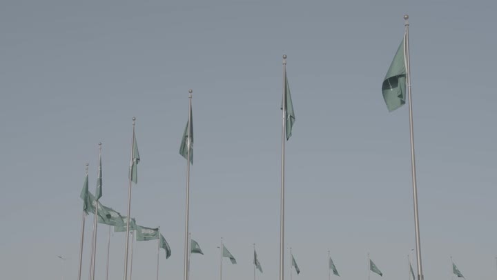 Patriotism and appreciation of national identity, famous tourist attractions in Jeddah, planting plants and palm trees, flags of the Kingdom of Saudi Arabia on the road, celebrating Saudi National Day, September 23