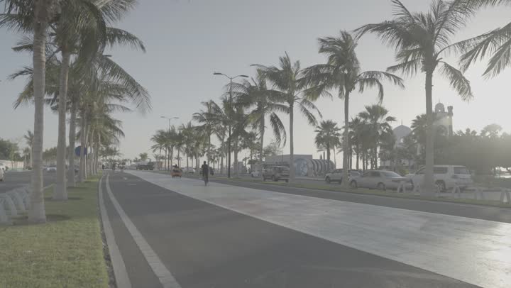 Interest in planting palm trees, bicycles passing by on the Happiness Walkway in the Jeddah Corniche in the Kingdom of Saudi Arabia during the day, towers and skyscrapers overlooking the Red Sea coast, a famous tourist place and area