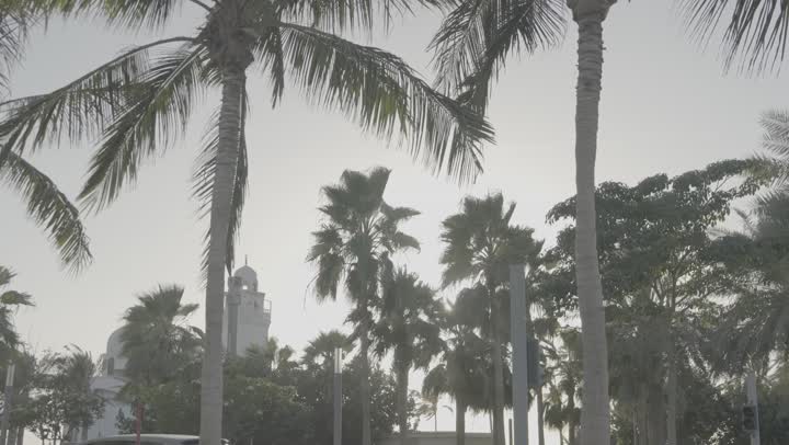 Islamic religious landmarks in coastal areas, the architectural art of the Al-Jazirah Mosque building on the waterfront in Jeddah, green trees and plants in the gardens, famous tourist places in Saudi Arabia, the call to prayer for Muslims, Islamic matters and worship