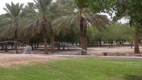 الات ومعدات الري المستقبلي في حقل زراعي بالمملكة العربية السعودية، الاعتناء والاهتمام بالاشجار والنباتات الخضراء، اذرع الري المحوري، سقي الاراضي الزراعيه ، نظام الري الالكتروني الحديث