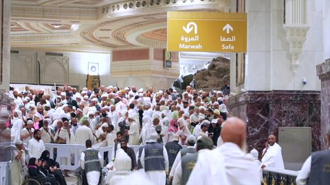 حجاج بيت الله الحرام  وقت السعي بين الصفا والمروة, تأدية المشي السريع, العبادة والتقرب الى الله، أماكن اسلامية دينية مقدسة في مكة المكرمة, أداء مناسك الحج والعمرة في المملكة العربية السعودية