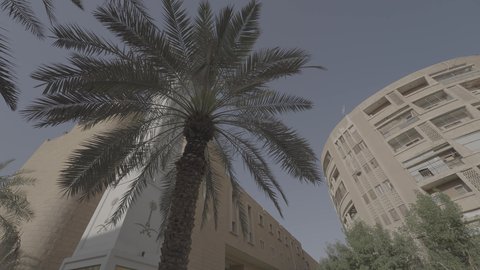  ساعة الصفاة في ساحة قصر الحكم بمدينة الرياض في النهار، أماكن السياحة التراثية التاريخية المشهورة, المعالم الأثرية القديمة في المملكة العربية السعودية, مفهوم الحضارات العريقة، الاهتمام بزراعة الاشجار والنباتات الخضراء في المدن السياحية