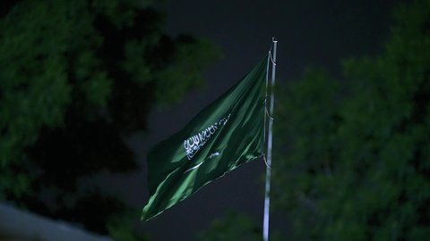 The flag of the Kingdom of Saudi Arabia fluttering among the trees in the evening, the banner of monotheism and Islam and the emblem of national identity, the concept of love of the homeland and belonging to it, loyalty and allegiance to the country, the celebration of national occasions and holidays, the memory of the National Day on September 23, Flag Day on March 11