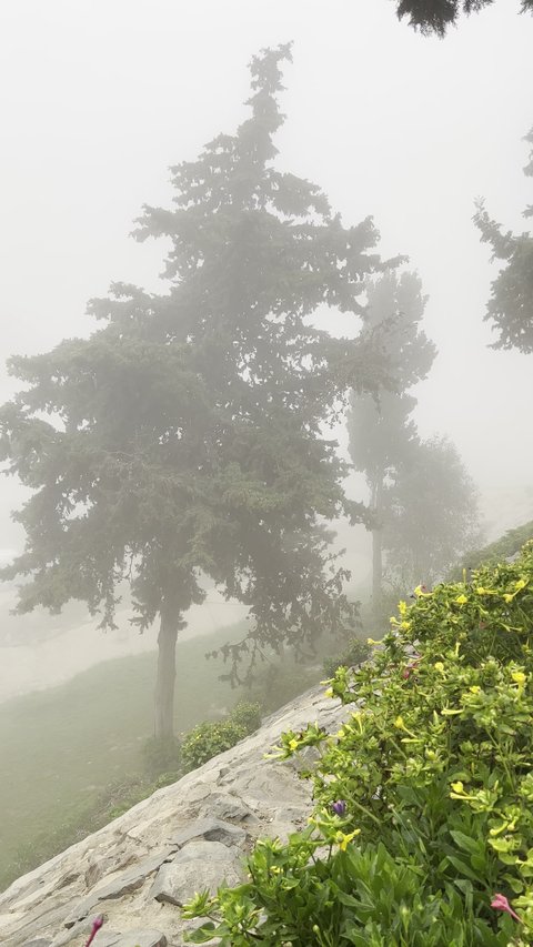 عواصف وامطار في فصل الشتاء، هطول الامطار في حديقة ابو خيال في ابها، حدائق طبيعية في مدينة عسير في المملكة العربية السعودية، اجواء ضبابية ماطرة