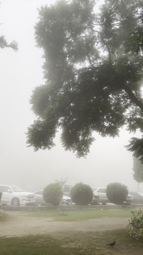 عواصف وامطار في فصل الشتاء، هطول الامطار في حديقة ابو خيال في ابها، حدائق طبيعية في مدينة عسير في المملكة العربية السعودية، اجواء ضبابية ماطرة