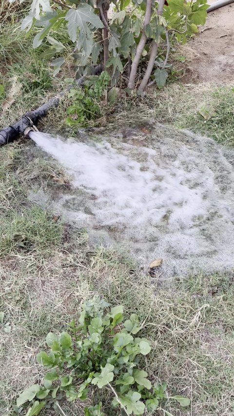 مفهوم الري بالغمر باستخدام رشاشات المياه، الات ومعدات الري المركزية في الأراضي والحقول الزراعية في مدينة ابعا بعسير، مزارع المملكة العربية السعودية، الاعتناء والاهتمام بالاشجار والنباتات الخضراء