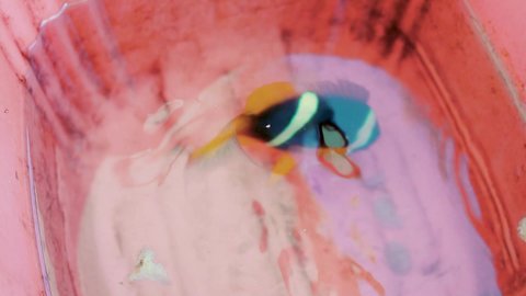 Practicing the profession of sea fishing, hobby and skill of fishing, enjoying practicing the professions of navigation in the past, popular handicrafts, close-up photography of a fishing rod from the Red Sea in the Kingdom of Saudi Arabia