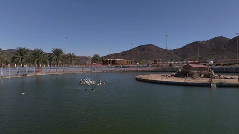 الحدائق والمنتزهات الترفيهية في المملكة العربية السعودية، المساحات الخضراء الواسعه، معلم ومكان طبيعي سياحي مشهور, ألعاب ترفيه ومتعة وتسليه للاولاد في احدى حدائق مدينة حائل، منتزه عائلي ترفيهي