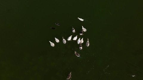 الحدائق والمنتزهات الترفيهية في المملكة العربية السعودية، المساحات الخضراء الواسعه، معلم ومكان طبيعي سياحي مشهور, ألعاب ترفيه ومتعة وتسليه للاولاد في احدى حدائق مدينة حائل، منتزه عائلي ترفيهي