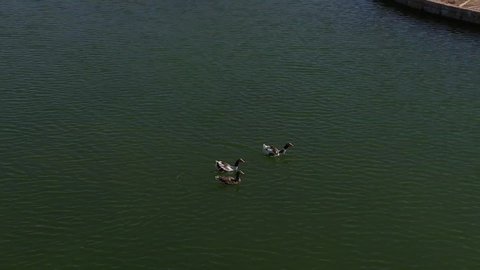 Gardens and recreational parks in the Kingdom of Saudi Arabia, vast green spaces, a famous natural landmark and tourist site, entertainment, fun and amusement games for children in one of the parks of Hail City, a family entertainment park