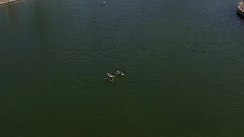 الحدائق والمنتزهات الترفيهية في المملكة العربية السعودية، المساحات الخضراء الواسعه، معلم ومكان طبيعي سياحي مشهور, ألعاب ترفيه ومتعة وتسليه للاولاد في احدى حدائق مدينة حائل، منتزه عائلي ترفيهي