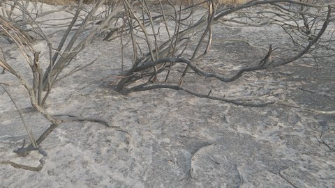 القمم والتكوينات الصخرية الطبيعية في الأودية، مناطق وأماكن طبيعية سياحية في المملكة العربية السعودية، وادي جدة الاخضر بمدينة جازان، نمو الاشجار والنباتات الخضراء