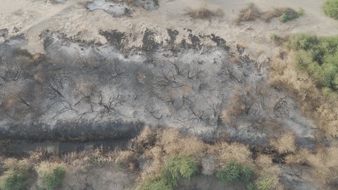 القمم والتكوينات الصخرية الطبيعية في الأودية، مناطق وأماكن طبيعية سياحية في المملكة العربية السعودية، وادي جدة الاخضر بمدينة جازان، نمو الاشجار والنباتات الخضراء