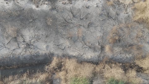 Natural rock peaks and formations in valleys, natural tourist areas and places in the Kingdom of Saudi Arabia, the green Jeddah Valley in Jazan, the growth of trees and green plants