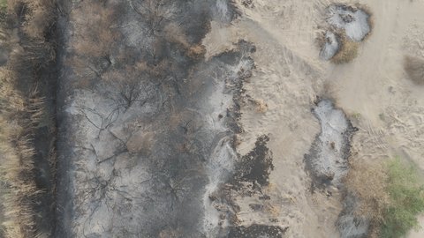 القمم والتكوينات الصخرية الطبيعية في الأودية، مناطق وأماكن طبيعية سياحية في المملكة العربية السعودية، وادي جدة الاخضر بمدينة جازان، نمو الاشجار والنباتات الخضراء