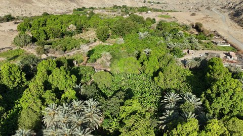 Mountainous heights and plateaus, drone photography of thorny plants in the desert lands of Asfan region, recreational safari areas, distinctive landscapes in the deserts of the Kingdom of Saudi Arabia