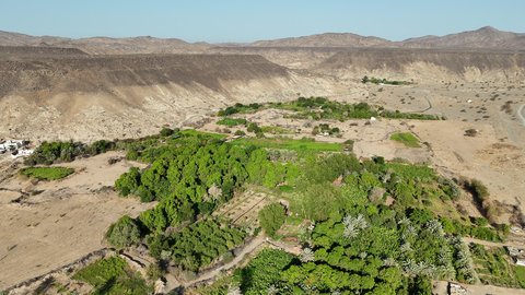 Mountainous heights and plateaus, drone photography of thorny plants in the desert lands of Asfan region, recreational safari areas, distinctive landscapes in the deserts of the Kingdom of Saudi Arabia