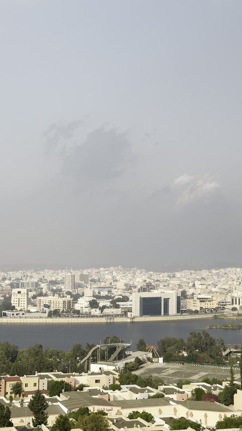 Abha mountain ranges, rugged terrain and stone roads, aerial photography of the mountainous environment in the Asir region, green nature, beautiful parks and gardens, trees and plants on the mountain slopes