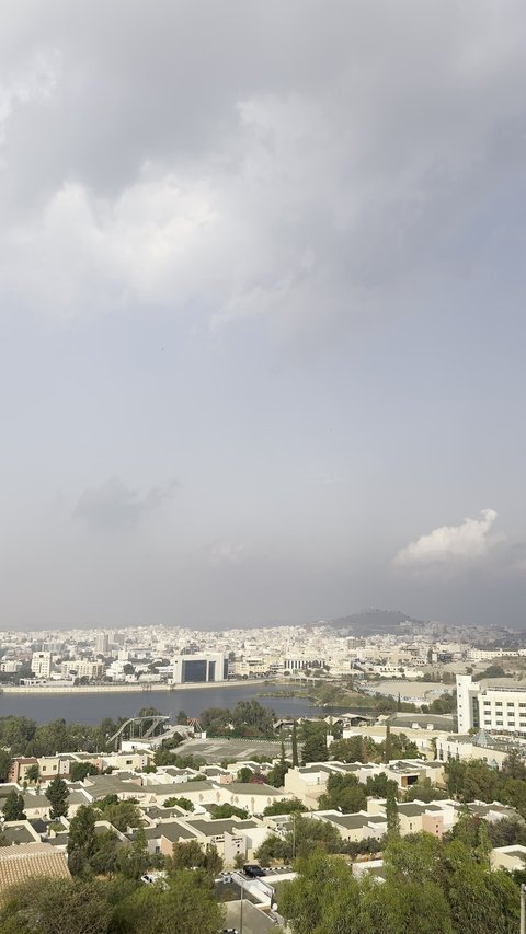 Abha mountain ranges, rugged terrain and stone roads, aerial photography of the mountainous environment in the Asir region, green nature, beautiful parks and gardens, trees and plants on the mountain slopes