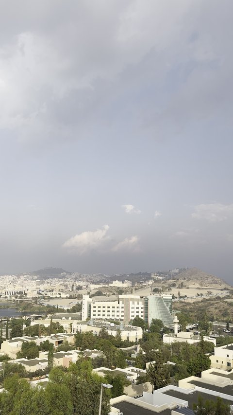 سلاسل جبال أبها، التضاريس والطرق الحجرية الوعرة، تصوير جوي للبيئة الجبلية في منطقة عسير، الطبيعة الخضراء والمنتزهات والحدائق الجميلة، الأشجار والنباتات على سفوح الجبل